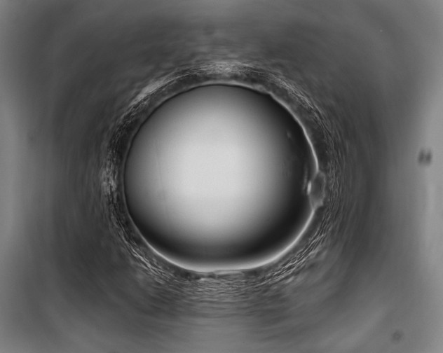 X0000100331206200806051526