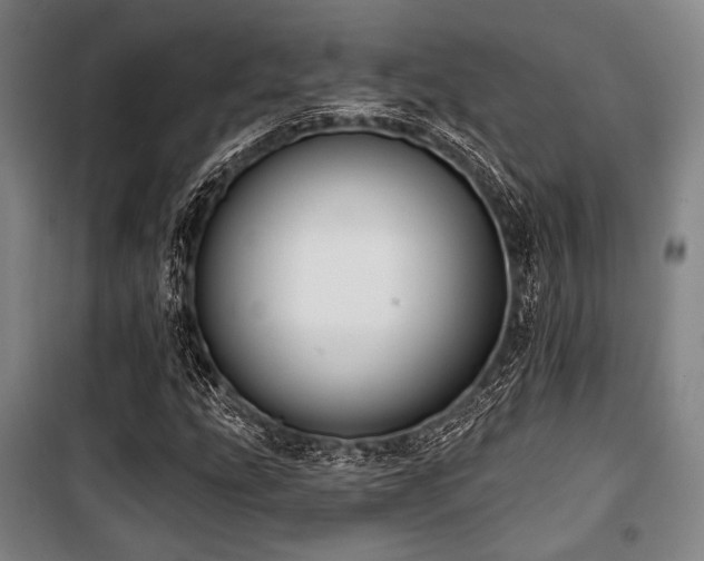 X0000100331207200806051526