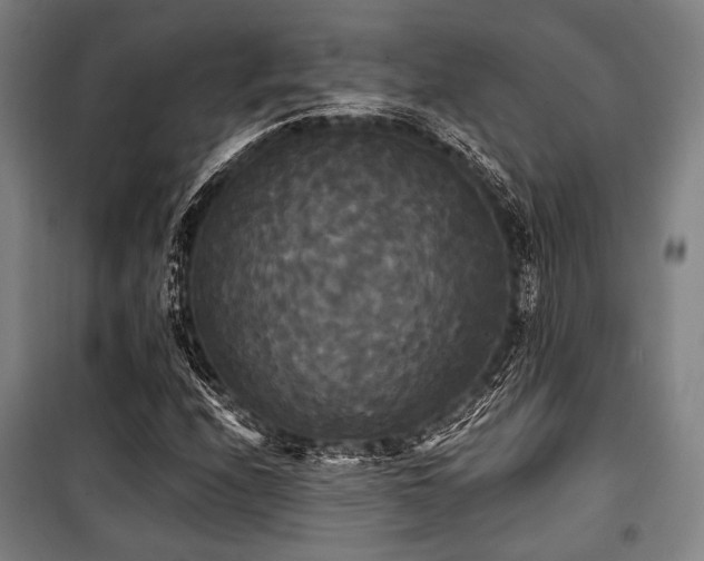 X0000100331208200806051526