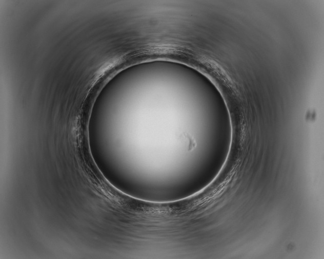 X0000100331210200806051526