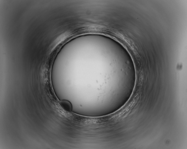 X0000100331211200806051526
