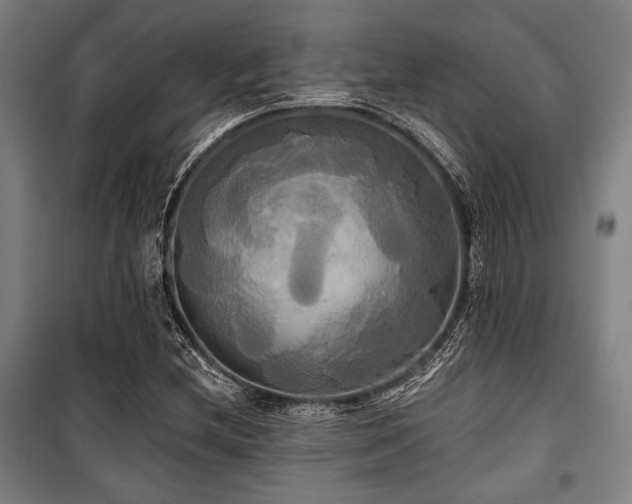 X0000100331212200806051526