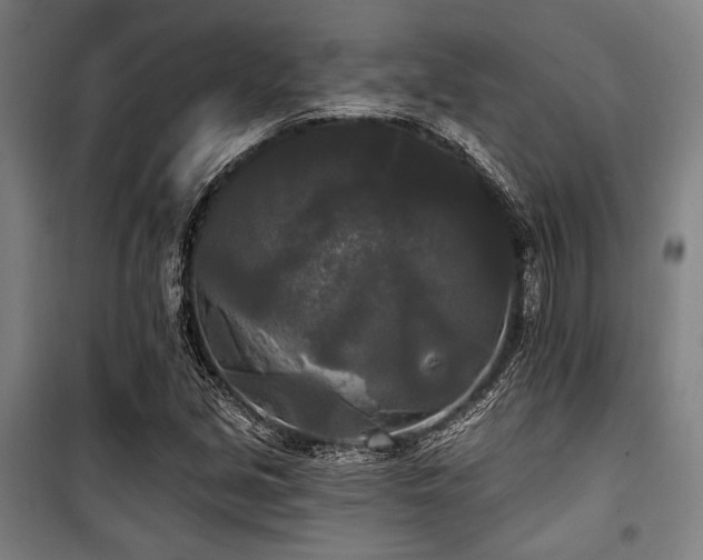 X0000100331213200806051526