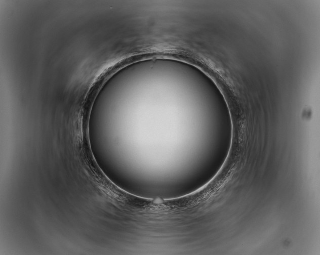 X0000100331214200806051526