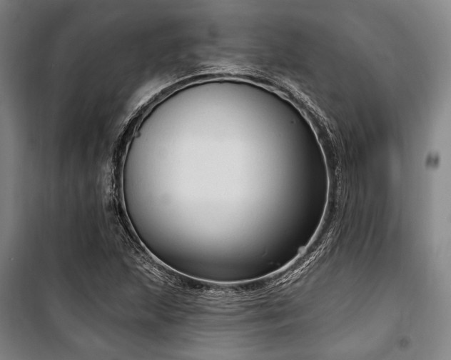 X0000100331215200806051526