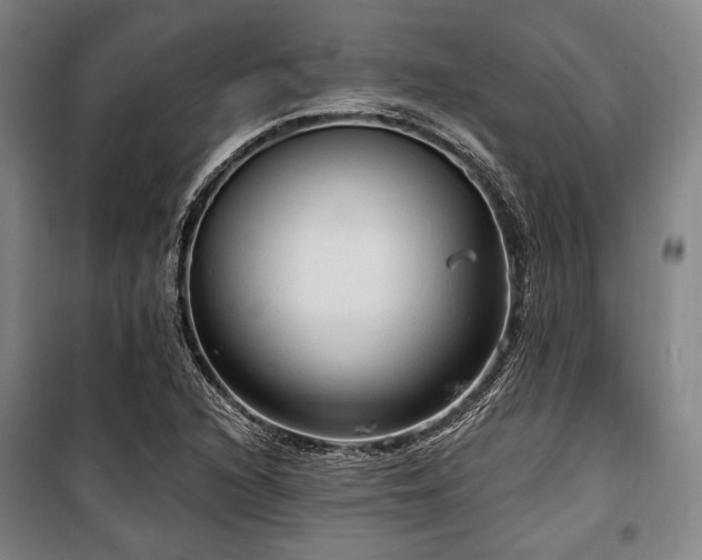 X0000100331216200806051526