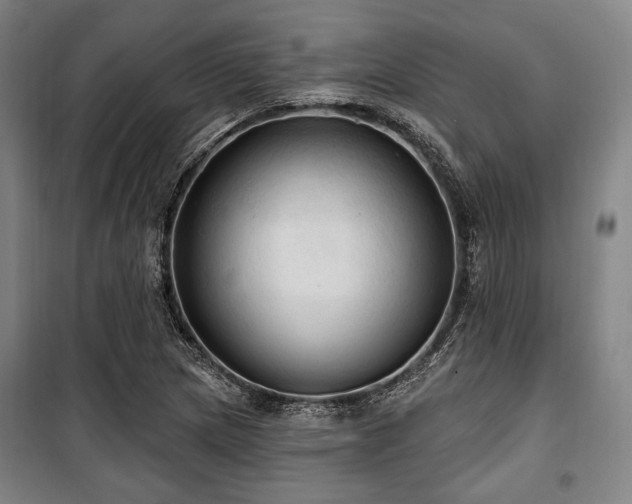 X0000100331217200806051526