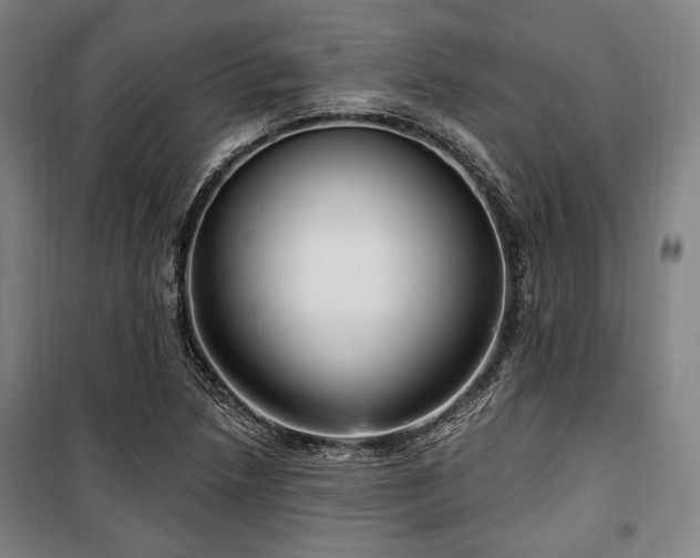 X0000100331218200806051526