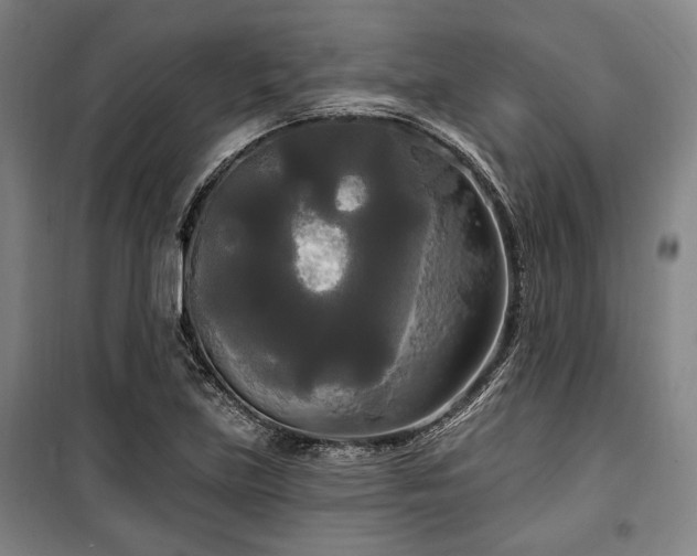 X0000100331219200806051526