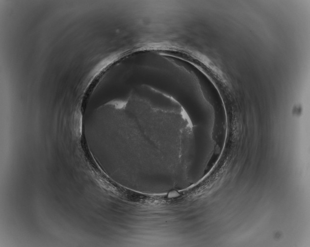 X0000100331221200806051526