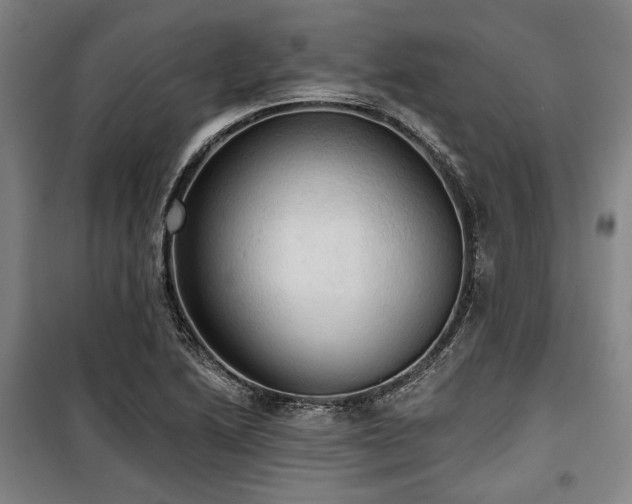 X0000100331222200806051526