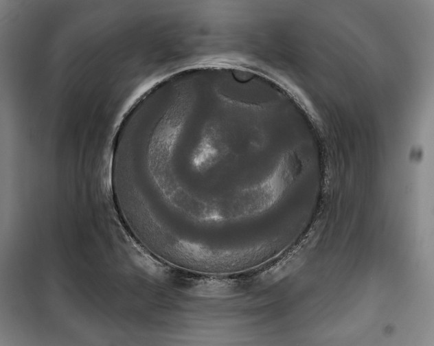 X0000100331224200806051526