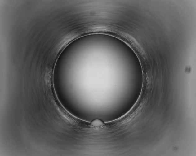 X0000100331225200806051526