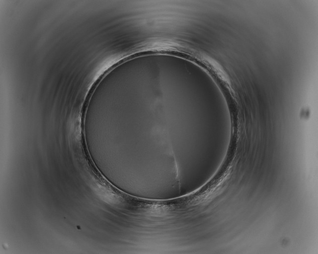 X0000100331226200806051526
