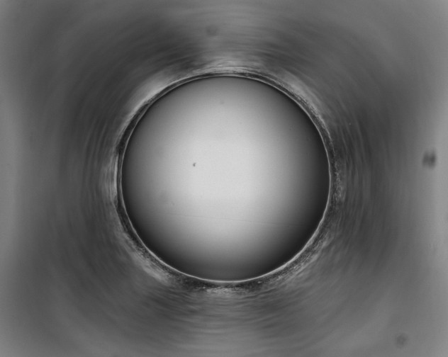 X0000100331227200806051526