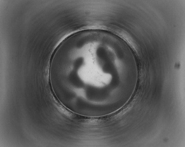 X0000100331228200806051526