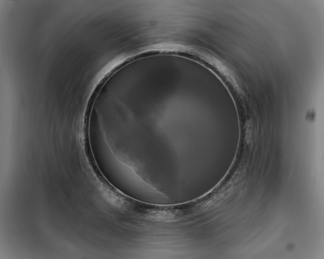 X0000100331229200806051526