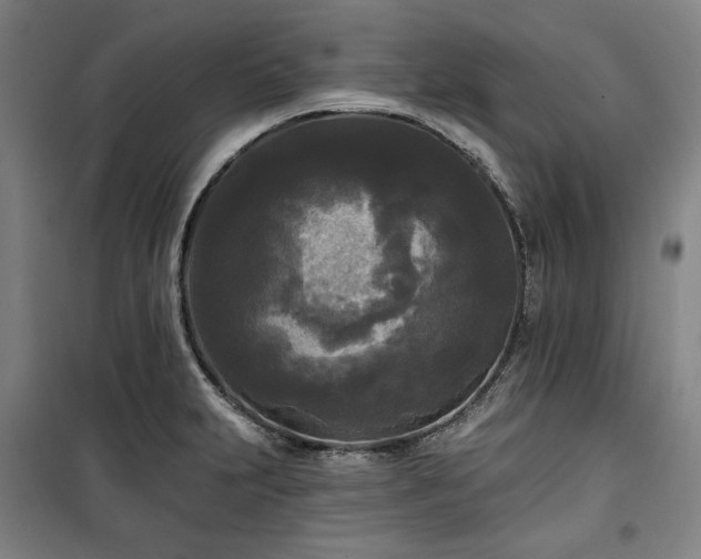 X0000100331231200806051526