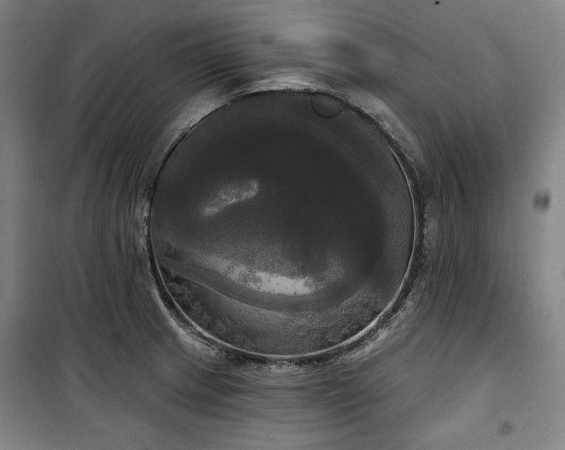 X0000100331233200806051526