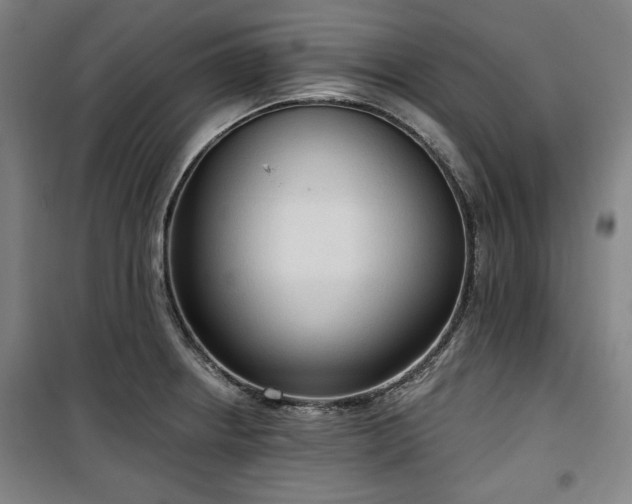 X0000100331234200806051526