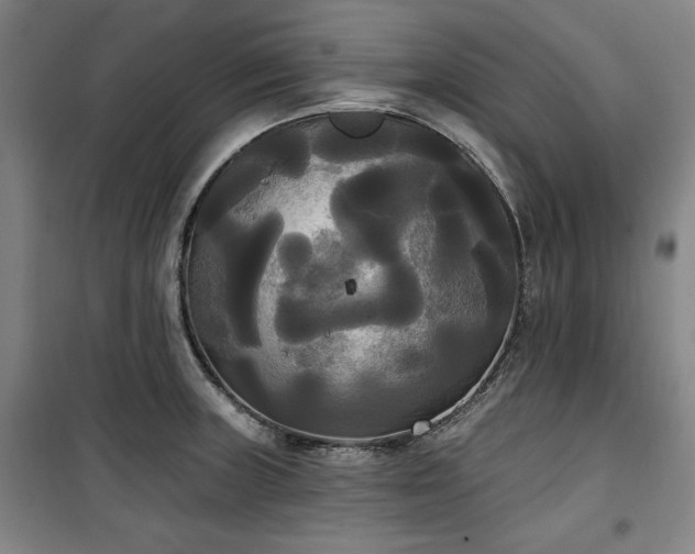 X0000100331235200806051526