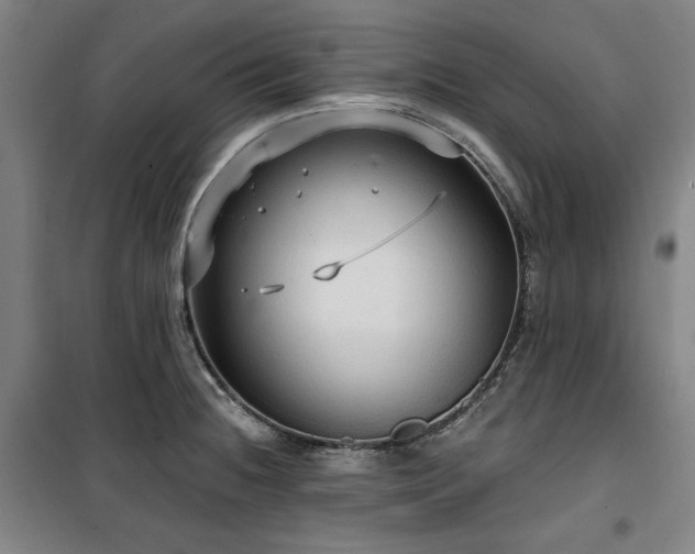 X0000100331236200806051526