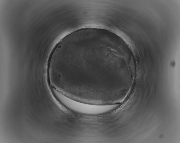 X0000100331237200806051526