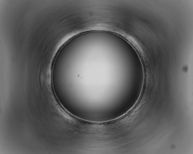 X0000100331238200806051526