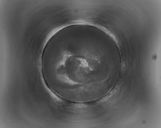 X0000100331239200806051526