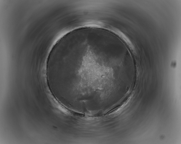 X0000100331240200806051526