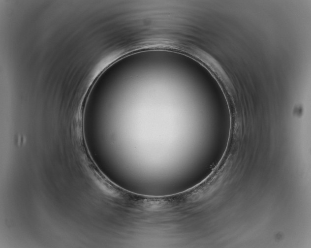 X0000100331242200806051526