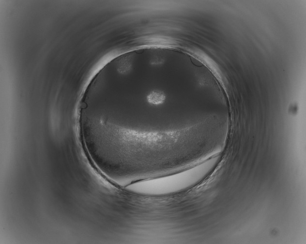 X0000100331243200806051527