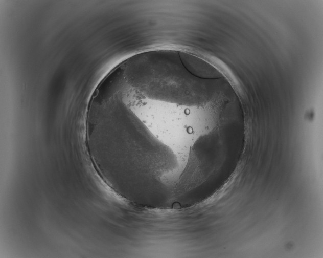 X0000100331244200806051527