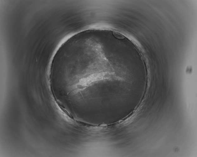 X0000100331248200806051527