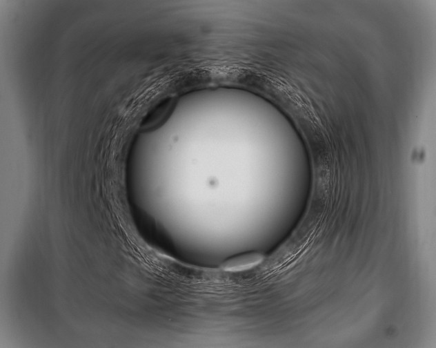 X0000100331249200806051526