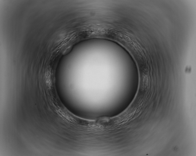 X0000100331250200806051526