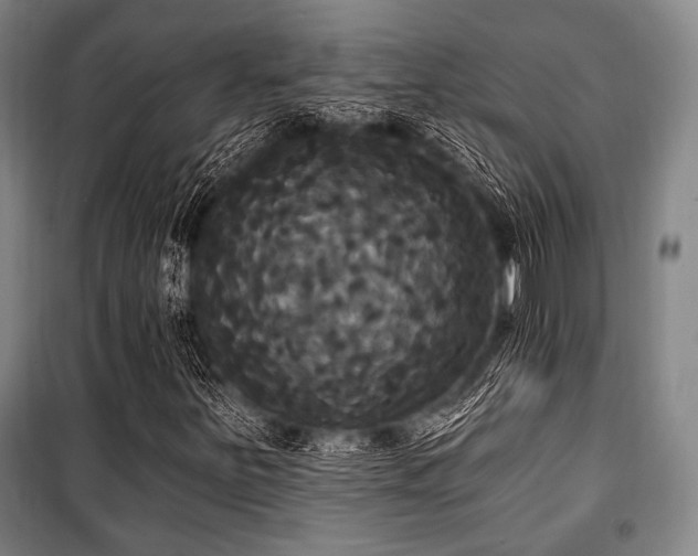 X0000100331251200806051526