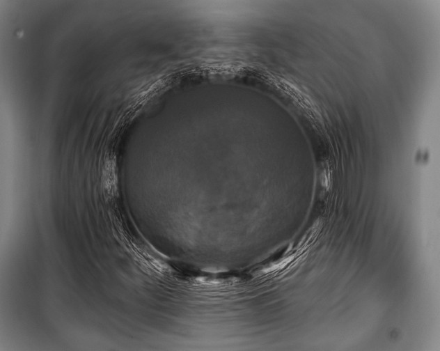 X0000100331252200806051526