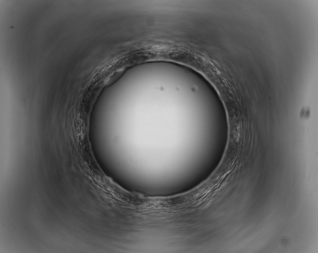 X0000100331253200806051526