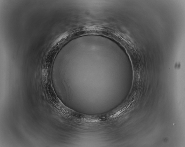 X0000100331254200806051526