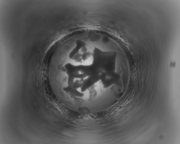 X0000100331255200806051526