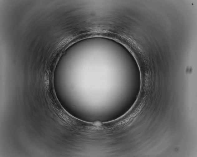 X0000100331257200806051526