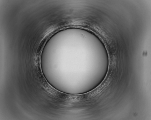 X0000100331258200806051526