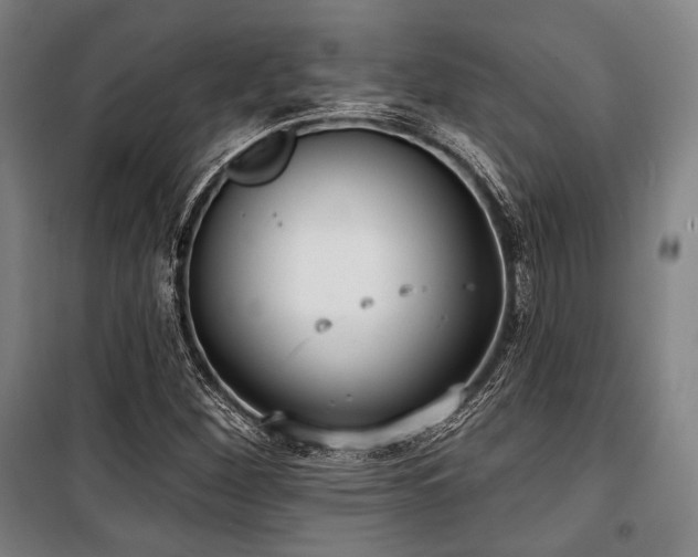 X0000100331260200806051526