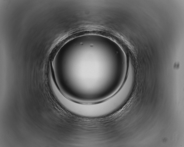 X0000100331261200806051526