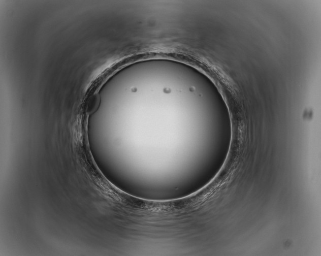 X0000100331262200806051526