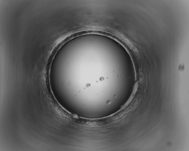 X0000100331264200806051526