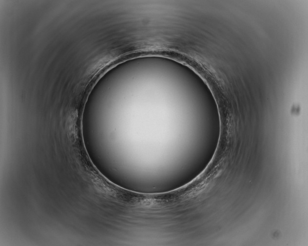 X0000100331265200806051526