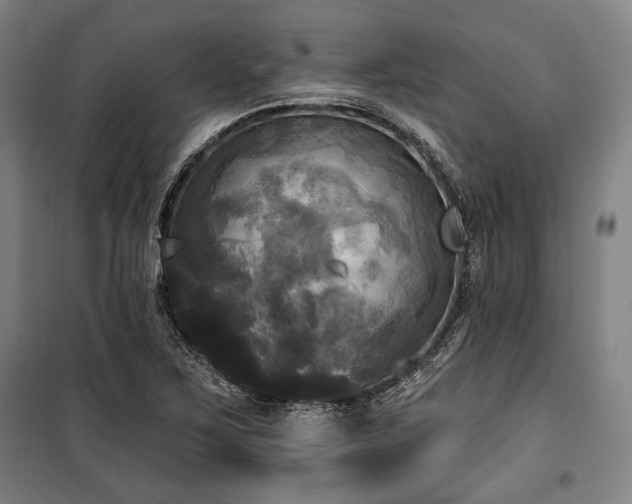 X0000100331267200806051526