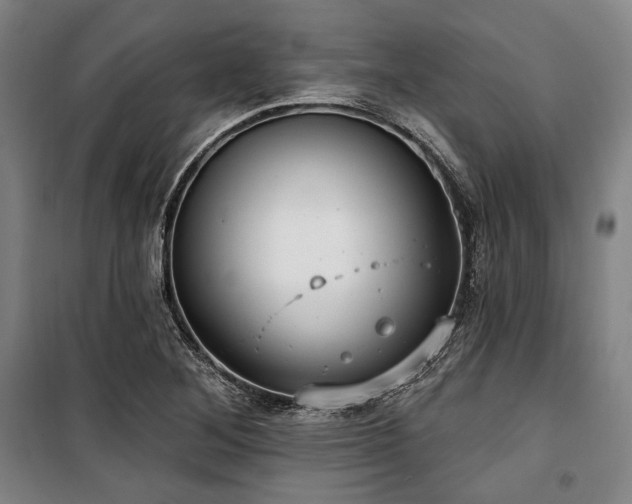 X0000100331268200806051526